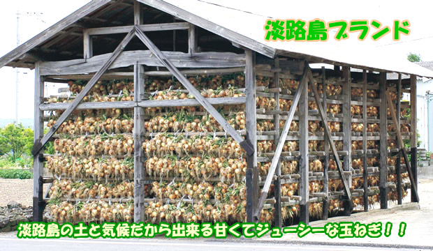 淡路島産玉ねぎ